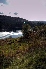 Autumn in Glen Affric - HDR