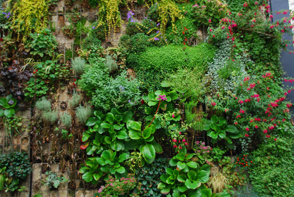 Living wall