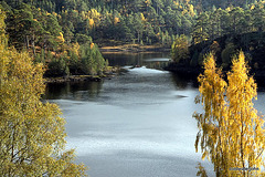 Autumn in Glen Affric - HDR