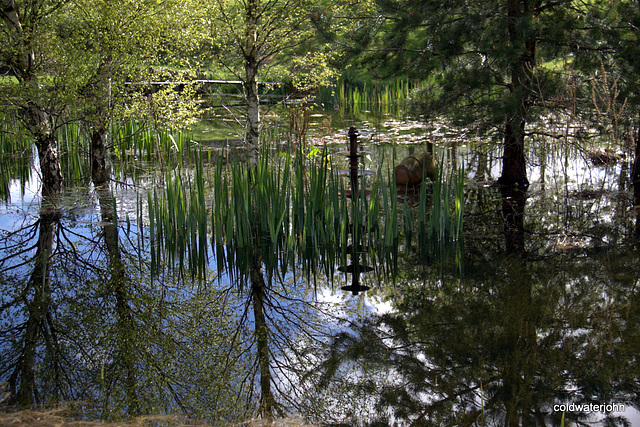Reflections 4600672551 o