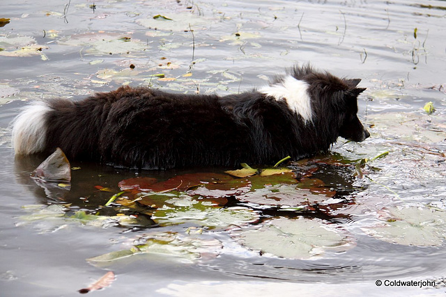 Poppy, fishing