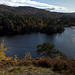 Autumn in Glen Affric - HDR