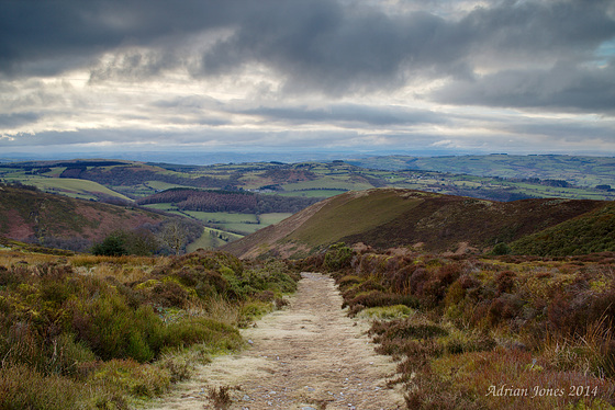 Stiperstones View