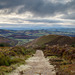 Stiperstones View