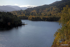 Autumn in Glen Affric - HDR