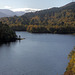 Autumn in Glen Affric - HDR