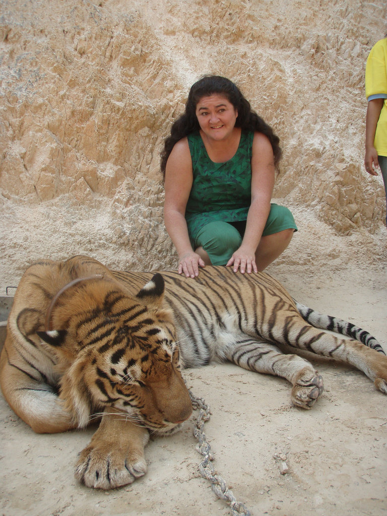 tiger patting