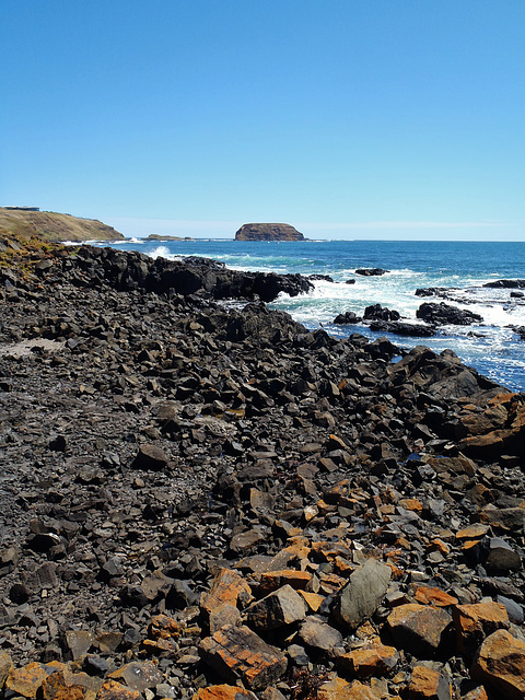 beach near the Nobbies