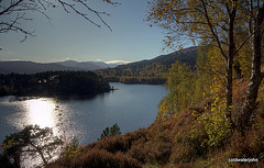 Autumn in Glen Affric - HDR