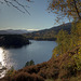 Autumn in Glen Affric - HDR