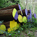 Painted logs