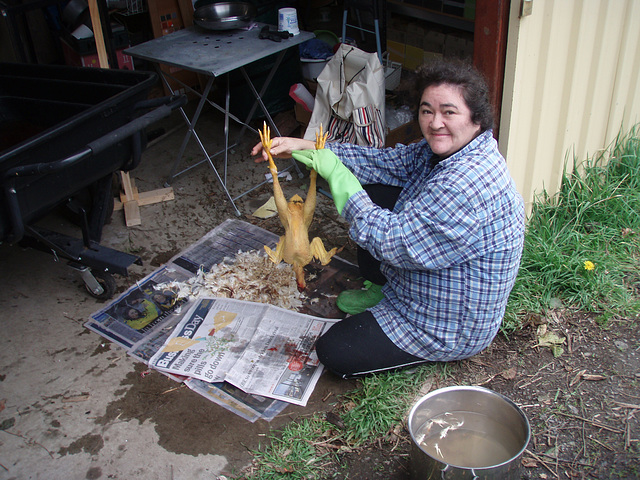 plucked chook