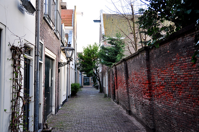 Koddesteeg (Tail Alley) in Leiden