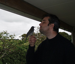 Ad feeding Jean-Pierre cheese