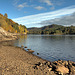 Autumn in Glen Affric - HDR