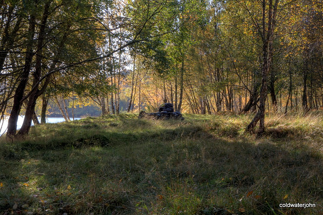 Autumn in Glen Affric - HDR