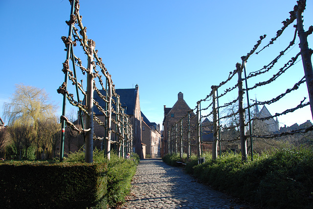 The Great Beguinage in Leuven