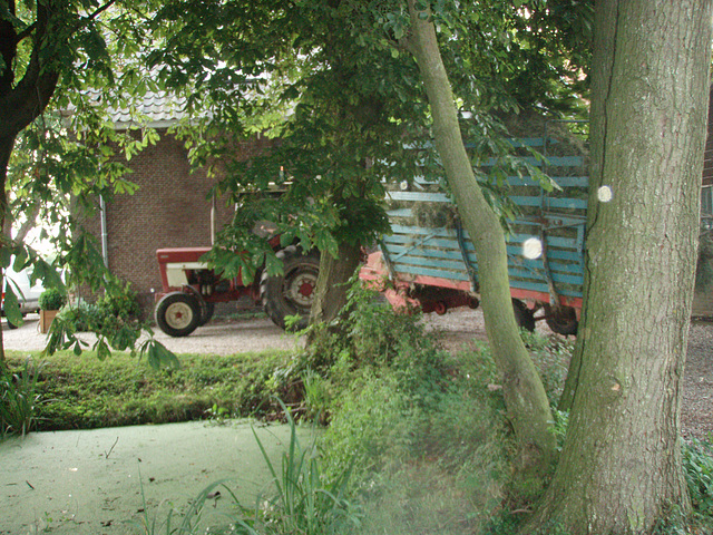 Floor making hay...