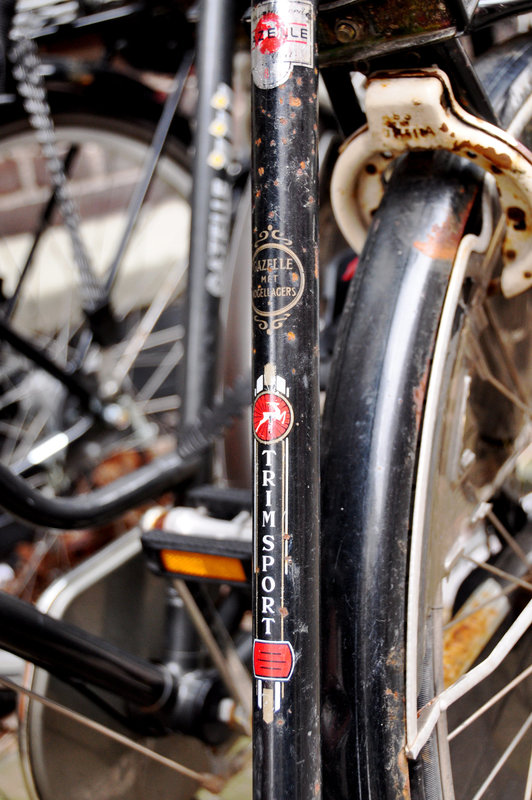 Gazelle Trimsport bicycle