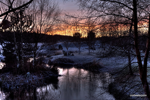 Dusk falling over the pond