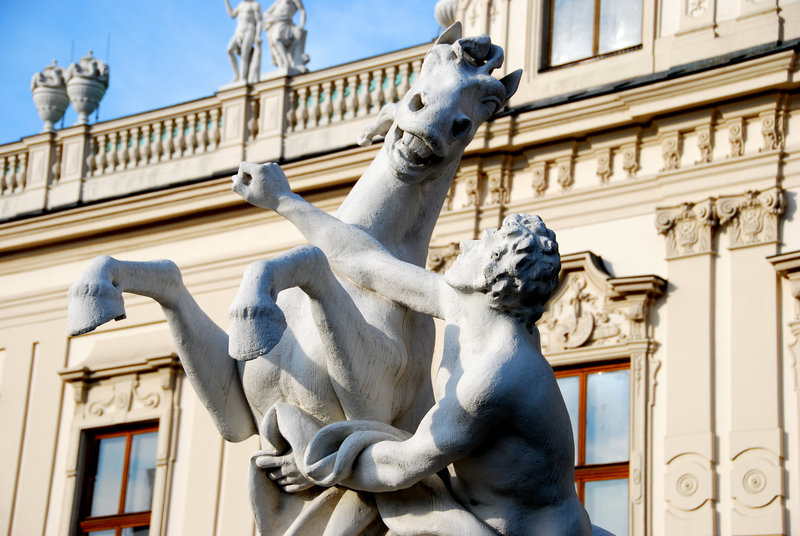 Naked horse handling in Vienna