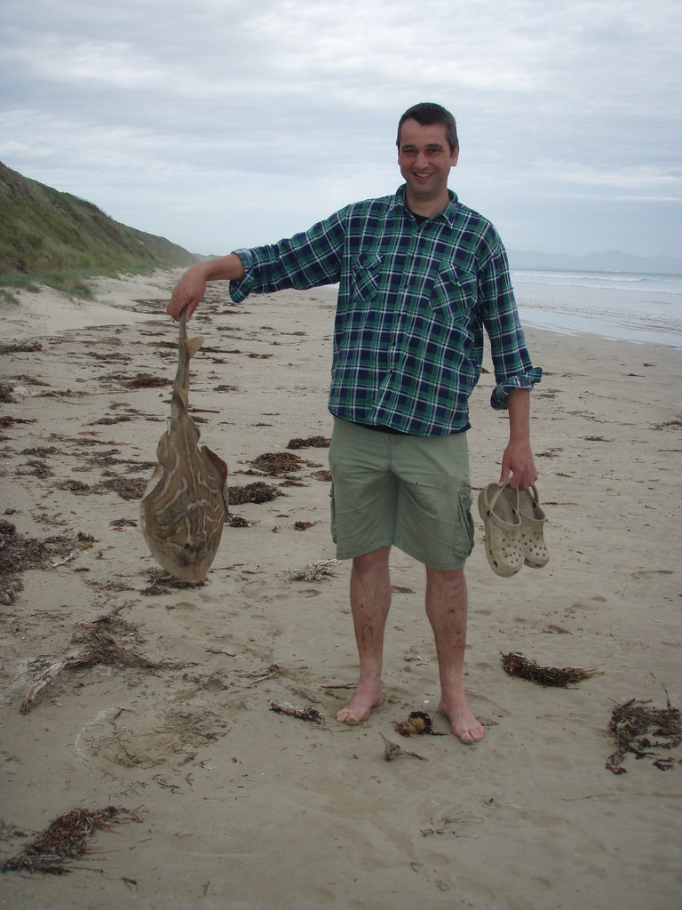 dead banjo shark on Waratah beach