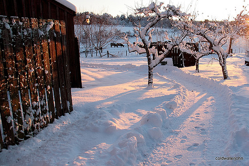 Just before sunset 5223826421 o