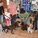 puppy school for Coco