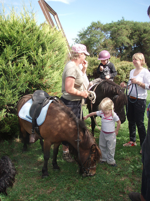 Vee & family & ponies