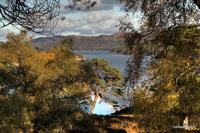 Autumn in Glen Affric - HDR