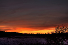 Red sky at night...