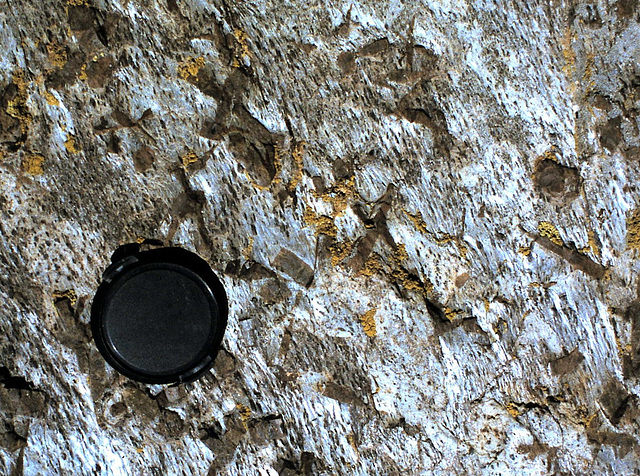 Staurolite Gneiss