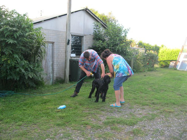 Fonzie being bathed - NO LIKE!