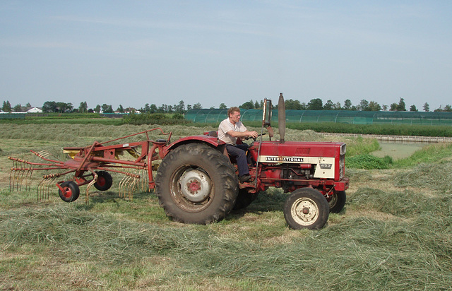 Floor making hay...