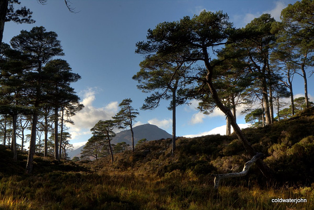 Autumn in Glen Affric - HDR