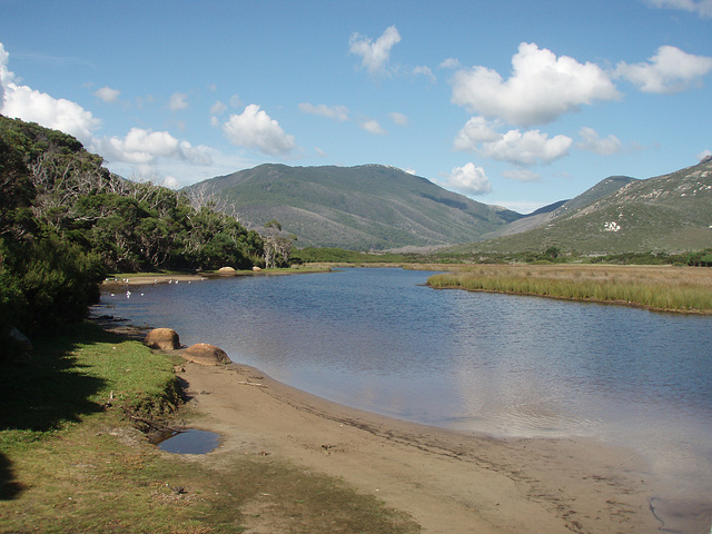 Tidal River in the sunshine