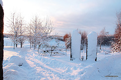 Pond snows 1st December 5224426410 o