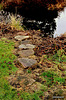 The otter's Stepping stones to the trout pond