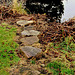 The otter's Stepping stones to the trout pond