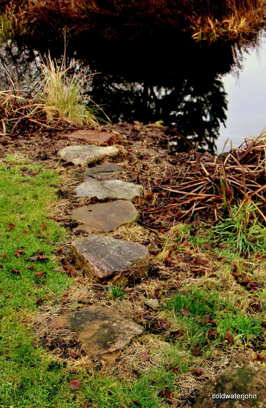 The otter's Stepping stones to the trout pond