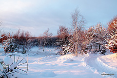 Pond snows 1st December 5224427384 o