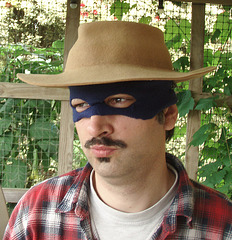 Movember II - alternate Zorro version