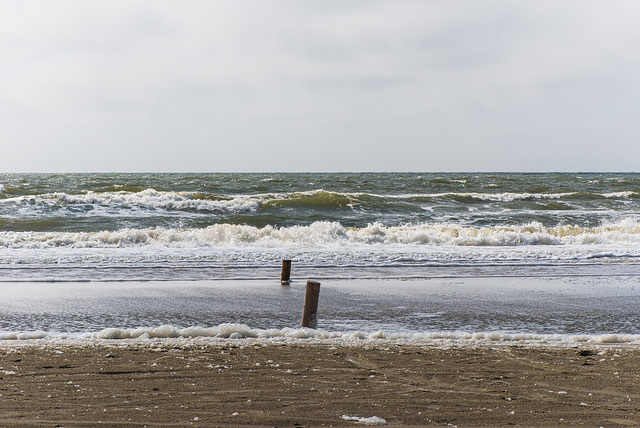 Nordsee - 20130512