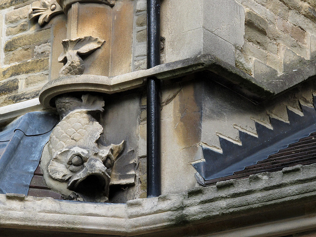 Fishy Drainpipe