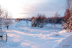 Pond snows 1st December 5223830111 o