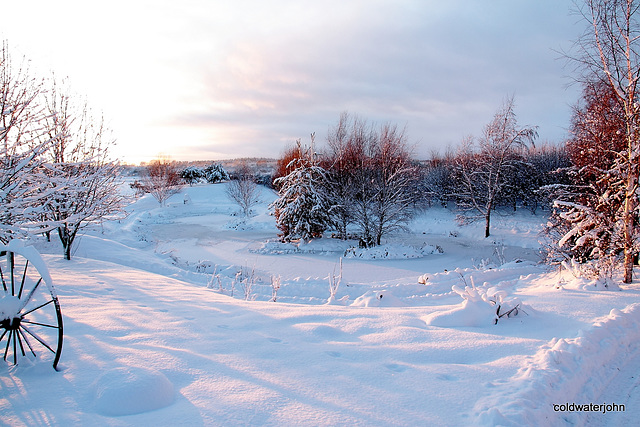 Pond snows 1st December 5223830111 o