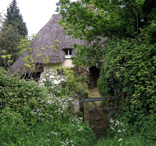 Thatched Cottage