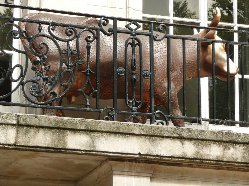 cavendish place cow, london