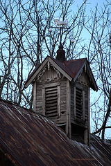 Horse Cupola