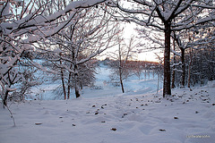 Pond snows 1st December 5223831101 o